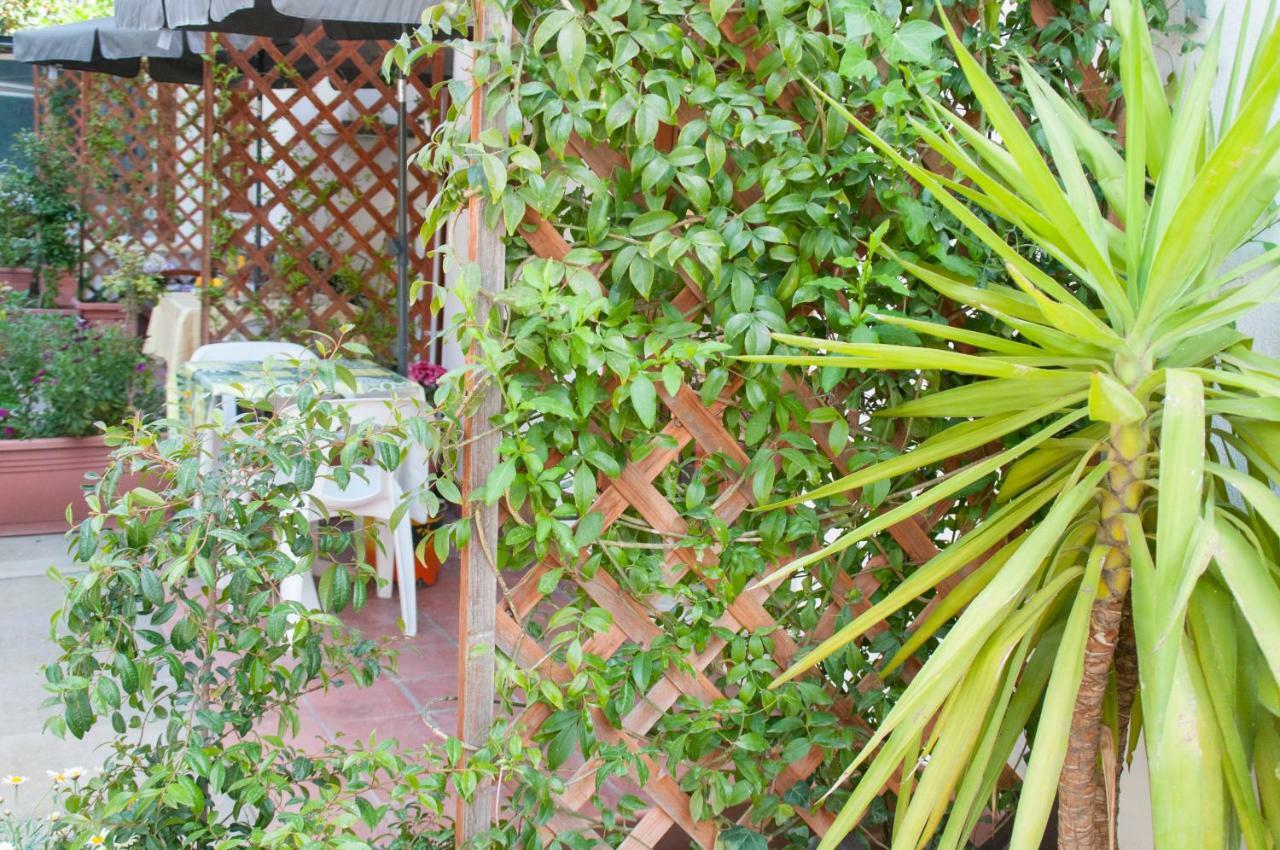 B&B Sikily Naxos Giardini Naxos Exterior foto